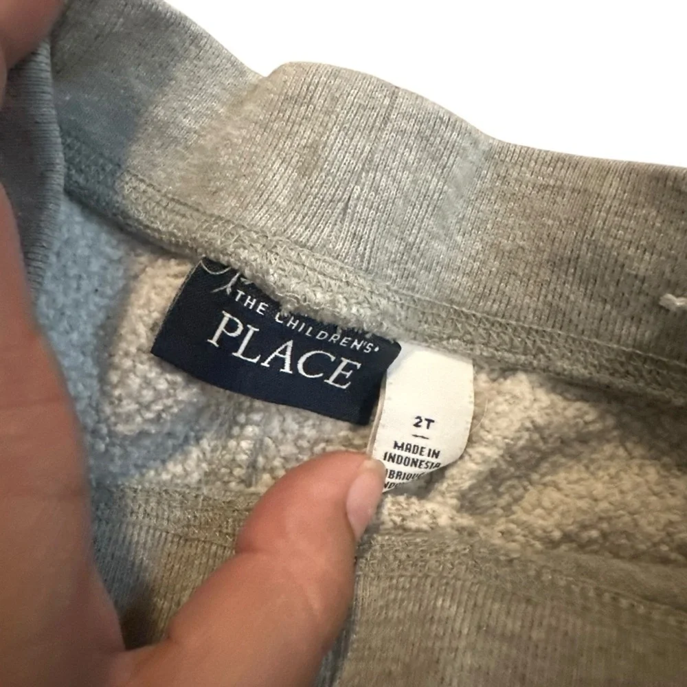 The Children’s Place Gray Boys Sweats Size 2T